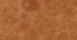 Giza Lounge Chair -Poly and Bark 10a31b04 scaled