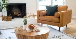 Napa Lounge Chair 38 Napa Lounge Chair -Poly and Bark 2db4575d 8ef522c0 cf77 40a1 b9d4 1e5e073ad195