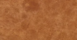 Essex 74" Apartment Sofa -Poly and Bark 3868ed70 2b84f84e 6594 473f b736 9dea8f7c7a7e scaled