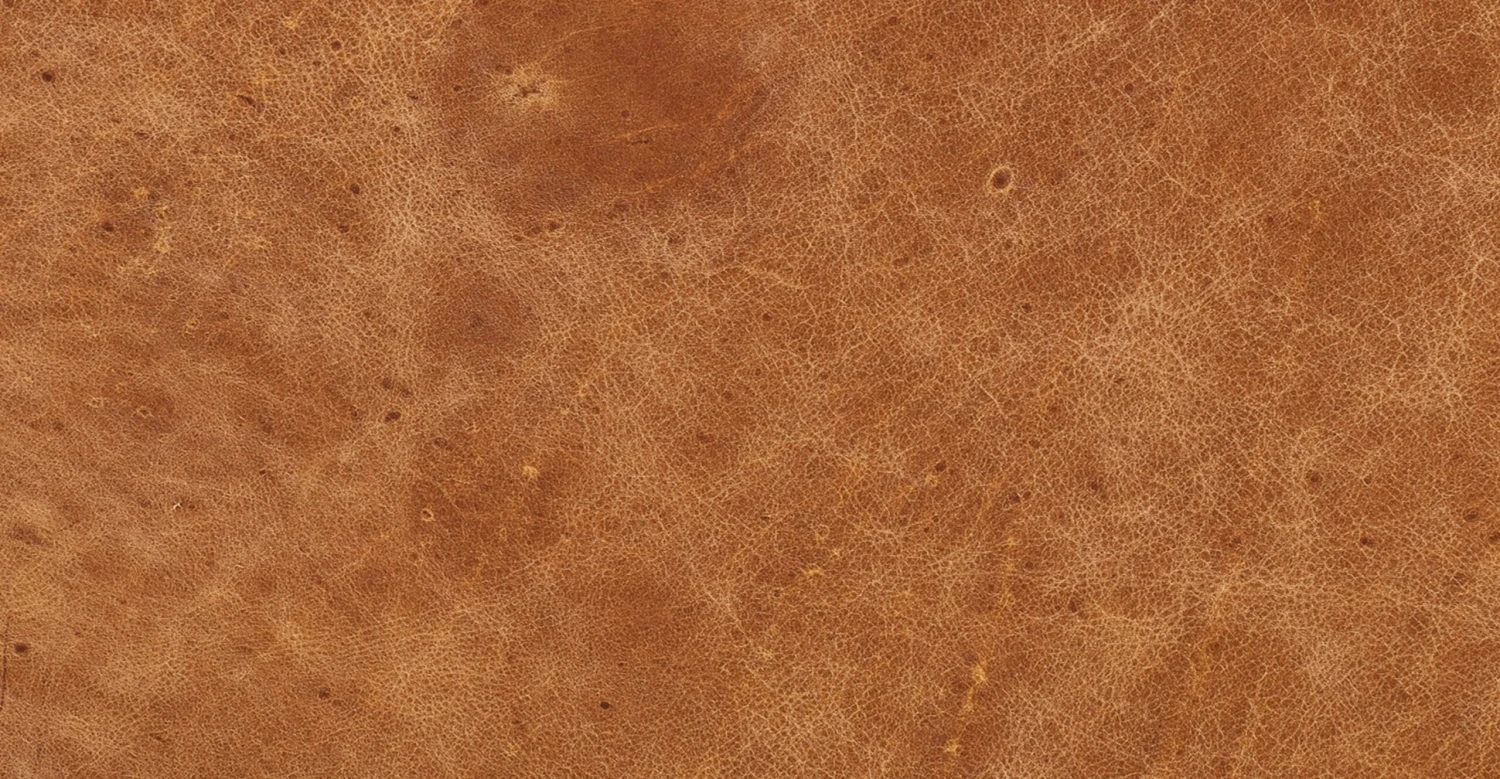 Mateo Leather Ottoman 12 Mateo Leather Ottoman - Image 12