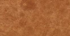 Sorrento Lounge Chair -Poly and Bark 489f2f36 scaled