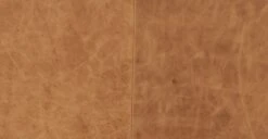 Napa Right-Facing Sectional Sofa 34 Napa Right-Facing Sectional Sofa -Poly and Bark 56f58238 3a37e2c5 c549 4a9c 8d6b c15222e41902