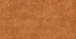 Sorrento Lounge Chair -Poly and Bark 62c3bb57 scaled