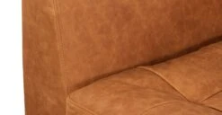 Calle 75" Apartment Sofa -Poly and Bark 6iP5RifYQkOjKp3baFcgY2lW9dVb4M0 LG7KTE72NEg