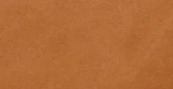 Cadiz Corner Sectional -Poly and Bark 6pRA6JjmuXMZAzO3OgZv7ObqM8e rrs1saSTEIoC8xI scaled