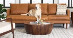 Goa Coffee Table -Poly and Bark 99a4c898
