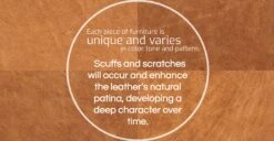 Turin Ottoman With Wood Legs -Poly and Bark A4HklXhAdGaVDb0ATM656OKHS4d4MXRnc0HThAC NJk 7815328e 92e2 4a64 b6d2 3a7afb0f70a8