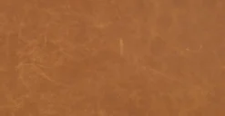 Truro Bed With Leather Cushions -Poly and Bark BD 695 QN TAN 4 22d7bab0 3665 4e28 9498 9531c1e88138 scaled