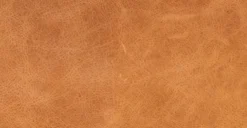 Napa Leather Bolster Pillow Set -Poly and Bark DC NAPA BLSTR TAN 12 scaled