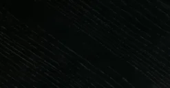 Talia Dining Chair 28 Talia Dining Chair -Poly and Bark DI 483 BLK 10 scaled