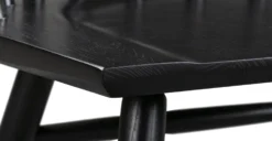 Talia Dining Chair 23 Talia Dining Chair -Poly and Bark DI 483 BLK 5 scaled