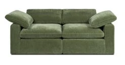 Poly and Bark 27 2-Seat Aspen Modular Sofa