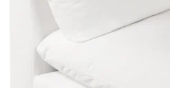 Davos Corner -Poly and Bark IgbTMrVCnJOWAmbrHSEcuzDcgSnVdsg26IOEcpCi5us scaled