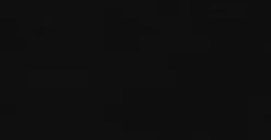 Wood Repair + Restore Kit -Poly and Bark KIT WD 001