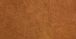 Essex Sofa -Poly and Bark LR 522 TAN 10 8ae2fa02 3828 48b8 b1d3 a7378f762b02 scaled