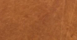 Essex Sofa -Poly and Bark LR 522 TAN 11 9d6f1c28 eade 4568 a512 19ed2012bc5a