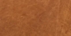 Essex Sofa -Poly and Bark LR 522 TAN 11 9d6f1c28 eade 4568 a512 19ed2012bc5a scaled