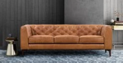 Poly and Bark -Poly and Bark LR 522 TAN RS 1 3f17224e 7c8b 4eb6 b443 809455cde8c2