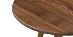 Douro Side Table -Poly and Bark LR 538 WAL 5 a1348f78 5fec 47b5 a472 d837b36b13d0 scaled