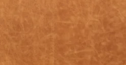 Mateo Leather Lounge Chair -Poly and Bark LR 548 TAN 12 2 scaled