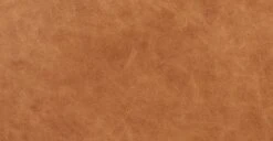 Mateo Leather Ottoman 24 Mateo Leather Ottoman -Poly and Bark LR 550 TAN 10