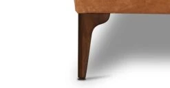 Mateo Leather Ottoman 23 Mateo Leather Ottoman -Poly and Bark LR 550 TAN 9