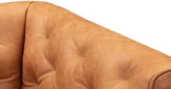 Essex Lounge Chair 27 Essex Lounge Chair -Poly and Bark LR 559 TAN 7 ee3228ca 6f36 4acf 97d6 538de6b118da scaled