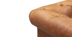 Lyon Lounge Chair -Poly and Bark LR 560 TAN 9 35f6efd3 3f38 424e 9a44 53667358884b scaled