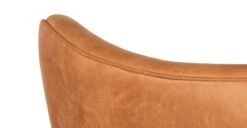 Aida Lounge Chair 27 Aida Lounge Chair -Poly and Bark LR 769 TAN 8