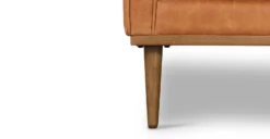 Gus Lounge Chair -Poly and Bark LR 9204 TAN 10 scaled