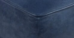 Essex Ottoman -Poly and Bark LR A5689 BLU 8