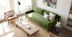 Zyon Velvet Sofa -Poly and Bark LR A5979 3 ZyonSofainDistressedGreenVelvet Lifestyle2 2890x1500px scaled