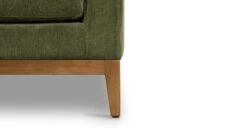 Zyon Velvet Sofa 30 Zyon Velvet Sofa -Poly and Bark LR A5979 3 11 234af41e a2aa 4561 92a6 7bbdadb00936