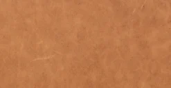 Zyon Sofa -Poly and Bark LR A5979 TAN 12 0e49eb43 df6a 40b9 86d7 fb7d2533842e scaled