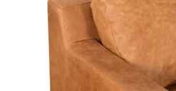 Zyon Sofa -Poly and Bark LR A5979 TAN 7 d391e005 aada 48d4 9d57 131265a378a1 scaled