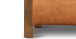 Giza Lounge Chair -Poly and Bark LR A9166 210 10 scaled