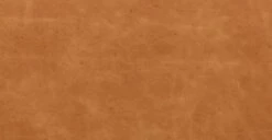 Giza Lounge Chair -Poly and Bark LR A9166 210 12