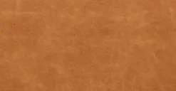 Giza Lounge Chair -Poly and Bark LR A9166 210 12 scaled