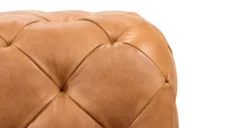 Turin Leather Ottoman -Poly and Bark LR B1601 210 4 scaled