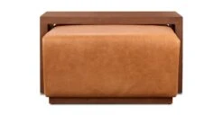 Jarmo Leather Ottoman With Walnut Table 23 Jarmo Leather Ottoman With Walnut Table -Poly and Bark LR B1884 210 4