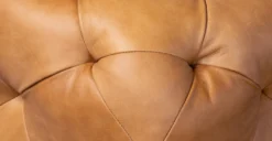 Turin Ottoman With Wood Legs -Poly and Bark LTSfuBkWx gkZS01T8nvWFl S2sh3U 62UJFjAvBm7Y scaled