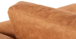 Calle Lounge Chair -Poly and Bark P LR 729 TAN MTLG BRS 10 scaled