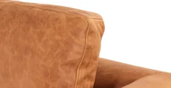 Calle Lounge Chair -Poly and Bark P LR 729 TAN MTLG BRS 8 scaled