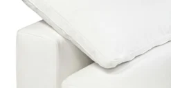 2-Seat Aspen Modular Sofa 36 2-Seat Aspen Modular Sofa -Poly and Bark P8kg7uSApsPc96da0WMe6f dBScGXimfpPKJAn1FFF8 scaled