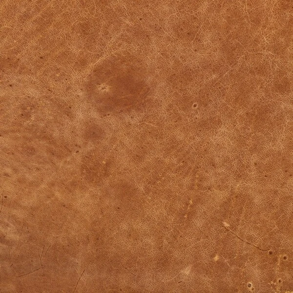 Poly And Bark Napa Corner Sectional Sofa - Genuine Italian Leather 15 Poly And Bark Napa Corner Sectional Sofa - Genuine Italian Leather - Image 15