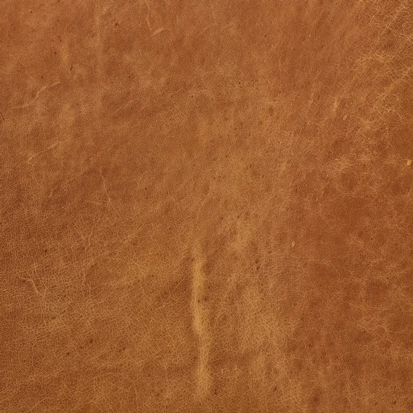 Poly And Bark Napa Corner Sectional Sofa - Genuine Italian Leather 16 Poly And Bark Napa Corner Sectional Sofa - Genuine Italian Leather - Image 16