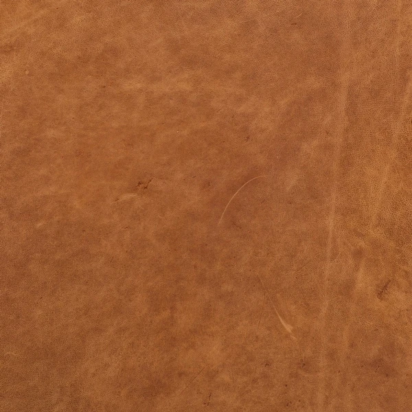 Poly And Bark Essex Sofa - Genuine Italian Leather 16 Poly And Bark Essex Sofa - Genuine Italian Leather - Image 16