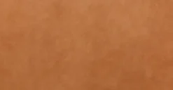 Piazza Sofa -Poly and Bark WMWSfyW8CDemnCjpxiy1hr6E4y4ggQgHSZ2EHEHDem8 scaled