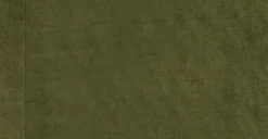 Napa Velvet Lounge Chair -Poly and Bark X6 deOgi1 67qA9SY3hz5v4wA1HsHNYrHFbgx7cFq0A 85923dbe a5d0 400d b398 d08cb277304d scaled