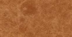 Calle 75" Apartment Sofa 32 Calle 75" Apartment Sofa -Poly and Bark YyE3XioYqr3p9sRIHCE1OlqevB4fnpHXLvlJEE19f74 scaled